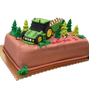 Detská narodeninová torta 44